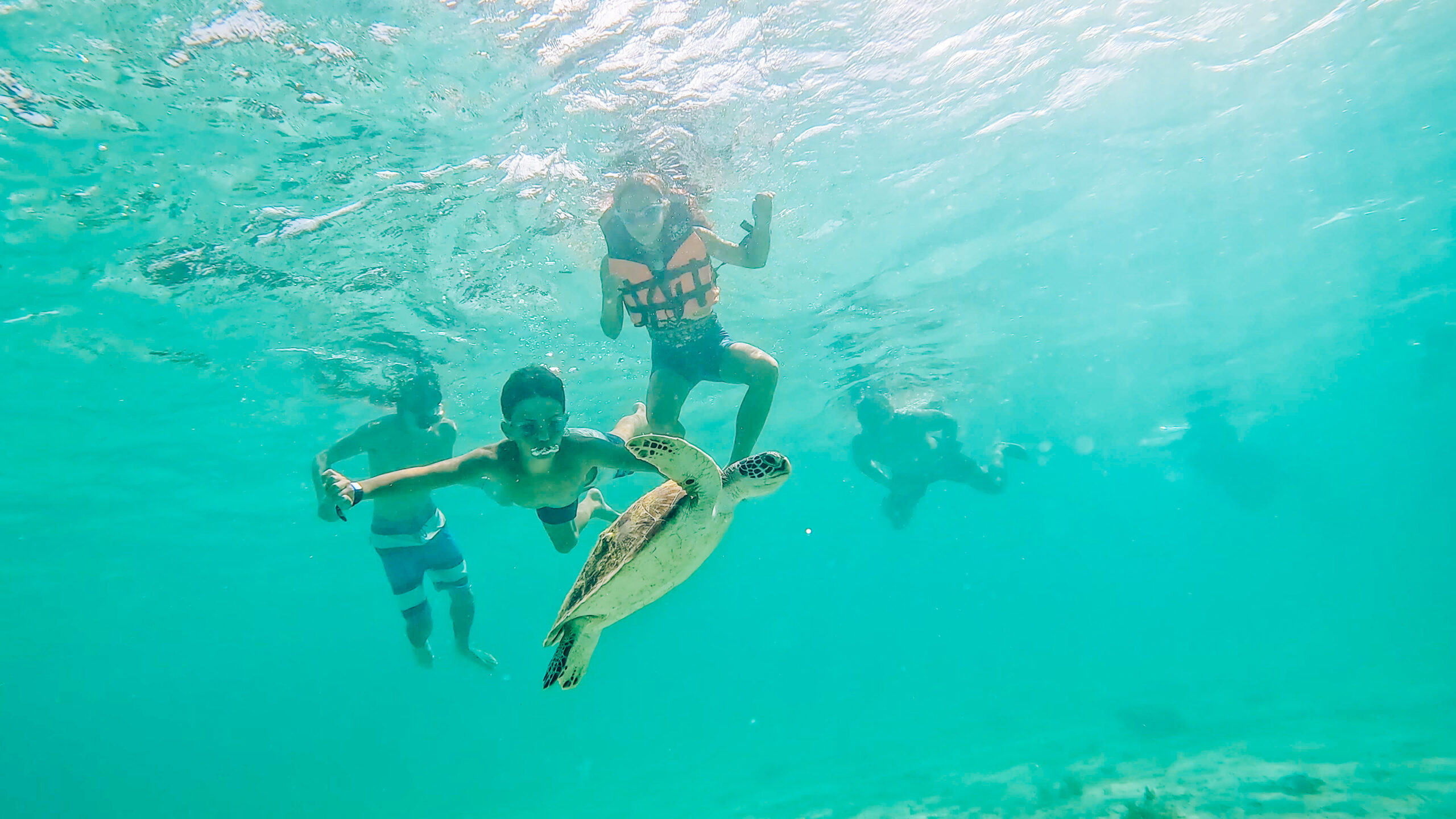 A group enjoying a family vacation in Palawan with little kids and non-swimmers wearing life jackets while snorkeling underwater alongside a green sea turtle.
